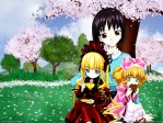 Rozen Maiden Shinku Hinaichigo Tomoe