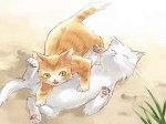 2 Katzen Neko Nekomimi Mimi Katze Kätzchen Kater